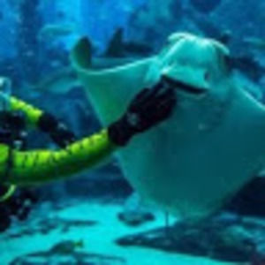 Meet your Posher, Joe